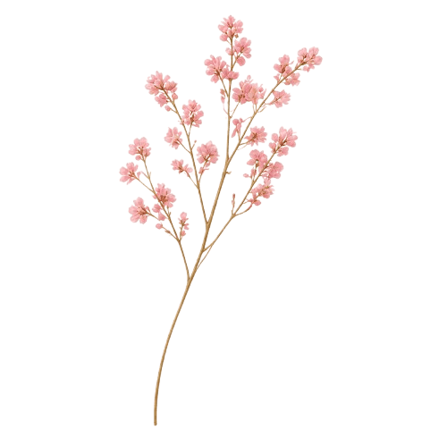 Decoración floral